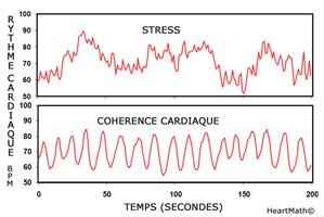 Coherence cardiaque