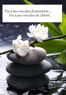 Tableau galets et fleurs zen1